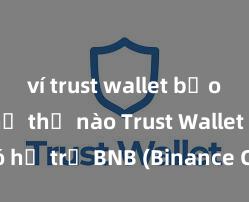 ví trust wallet bảo mật như thế nào Trust Wallet có hỗ trợ BNB (Binance Coin) không?